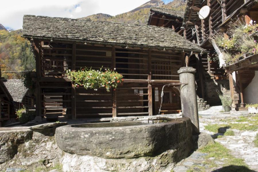 IL MUSEO WALSER