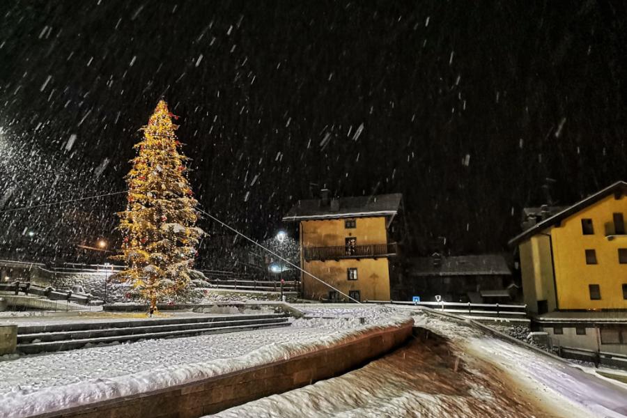 Éclairage d’arbre de Noël