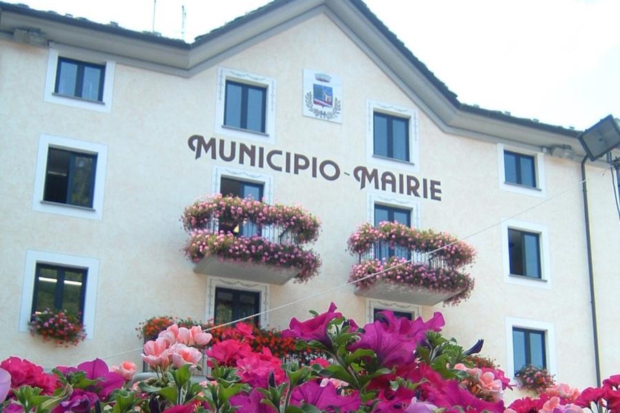 Piazza Piazza Da Emy, piante e fiori di montagna ai piedi del Gran Paradiso