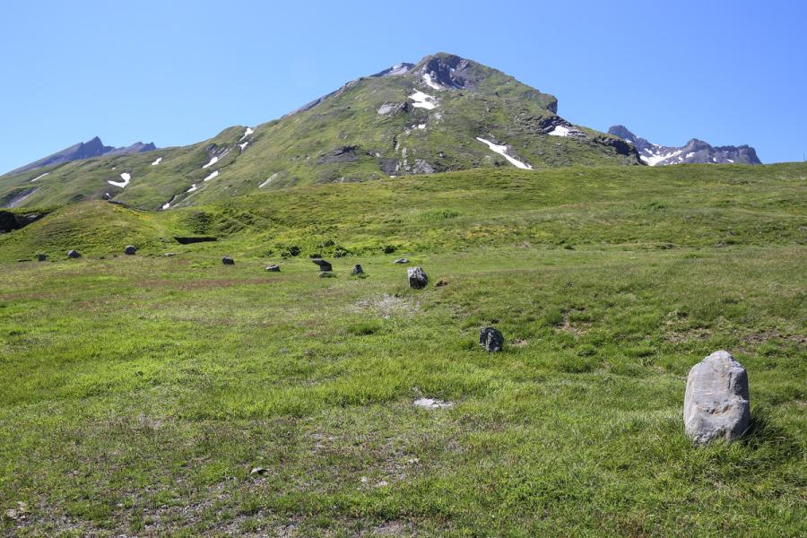 Summer solstice at the Cromlech of the Little San Bernardo Pass