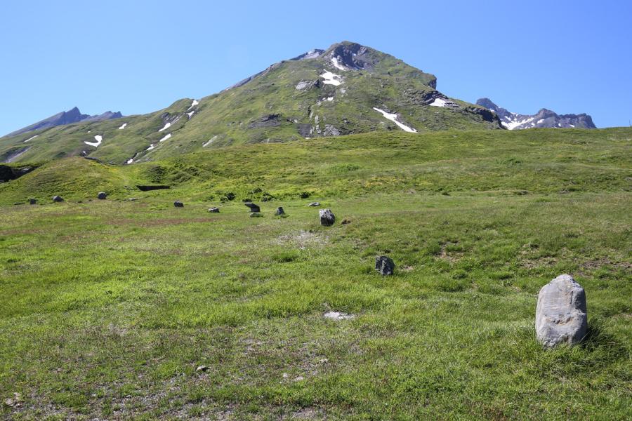 .. Solstice d'été au Cromlech du Petit Saint Bernard