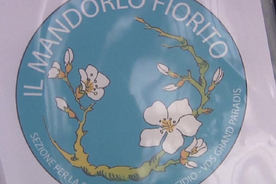 Associazione Il Mandorlo in Fiore  Una serata con il Mandorlo Fiorito