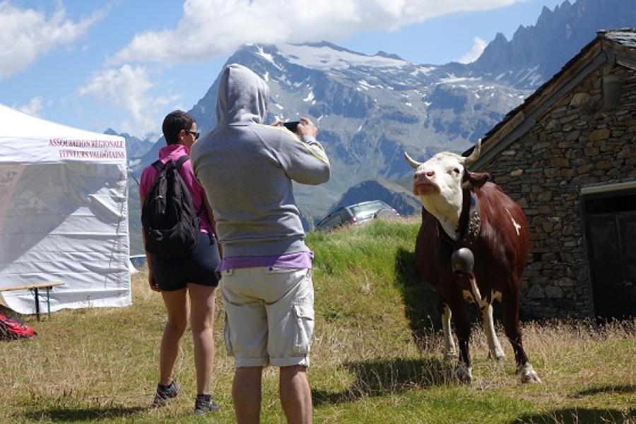 .. Alpages Ouverts - Una giornata in alpeggio