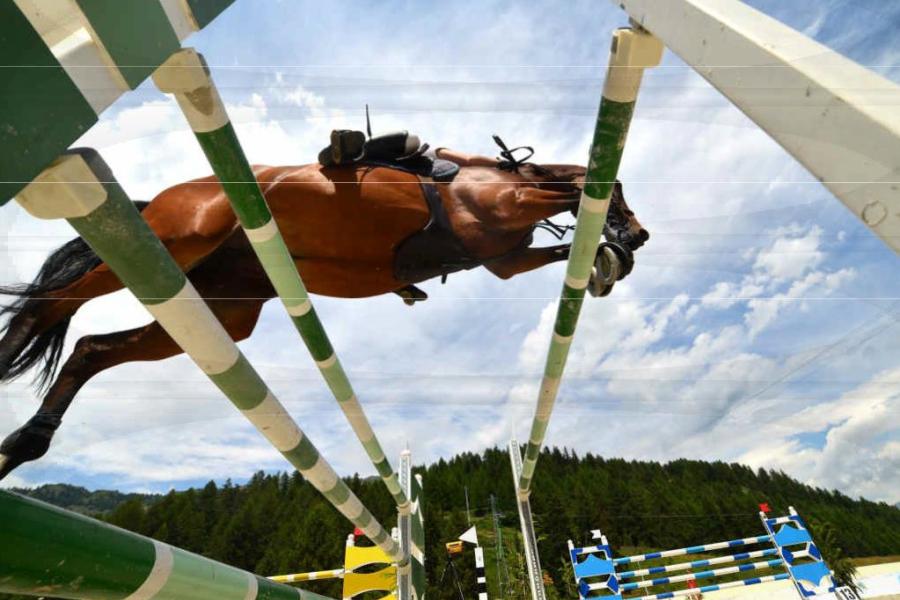 .. Manifestazione ippica "Jumping Torgnon"