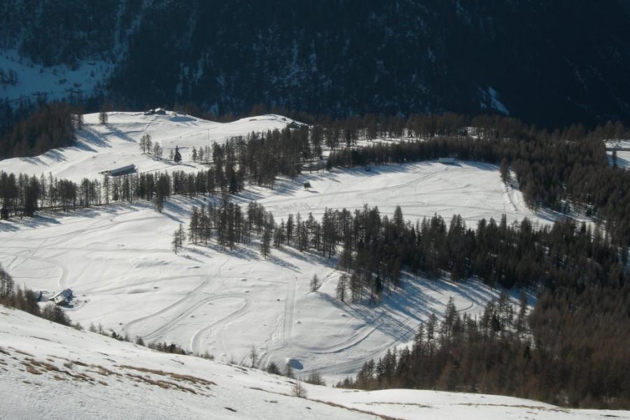 Carnival on skis