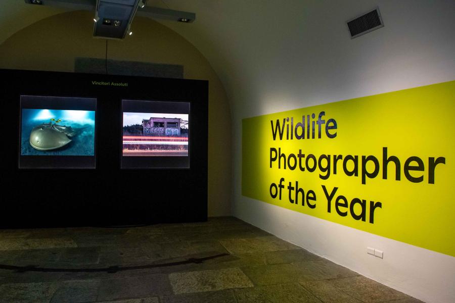Settimana della Biodiversità Conferenza: La fotografia naturalistica nelle aree protette
