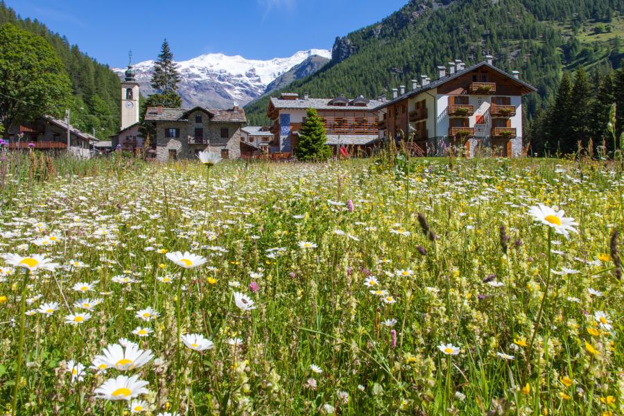 Gressoney-La-Trinité Food markets and show cooking
