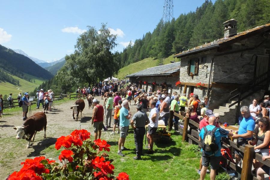 Alpages Ouverts - Una giornata in alpeggio