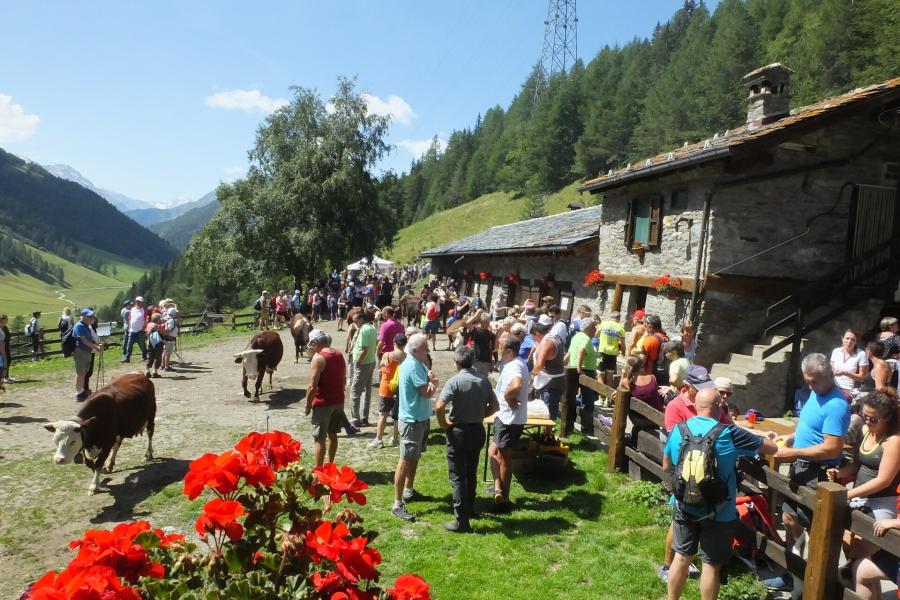 alpage Alpages Ouverts - Une journée en alpage