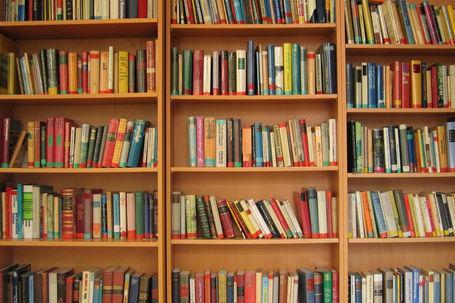 Libreria Presentazione del libro "Louise e Fidèle" di Ronny Borbey