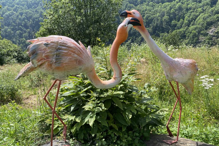Villaggio di Chemp ControTorrente: Visita guidata al villaggio di Chemp