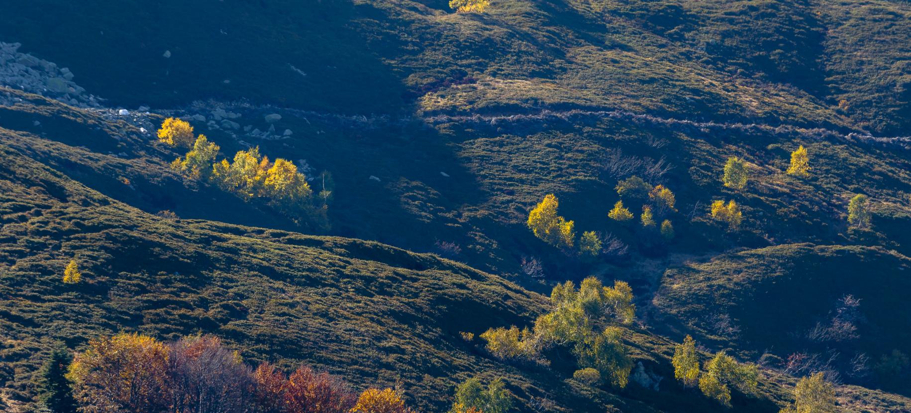I colori autunnali sui pendii di Mera