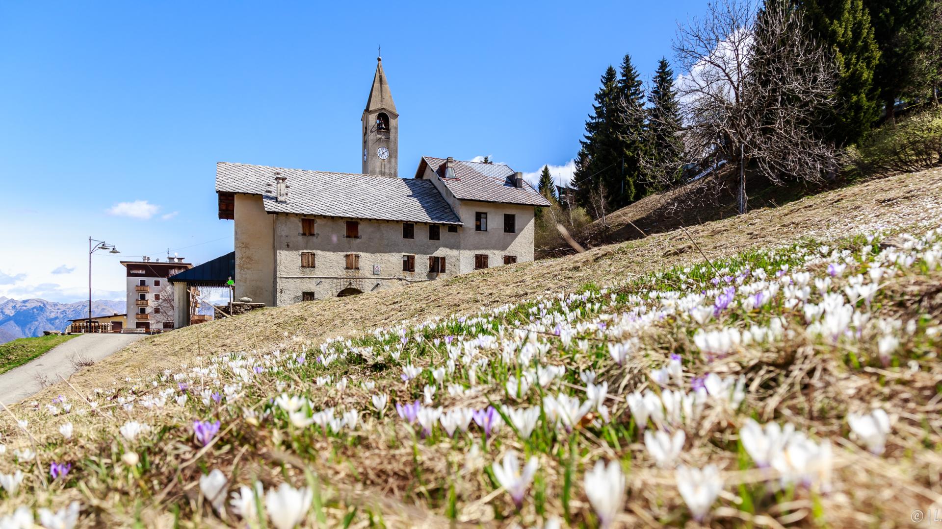 primavera a mera