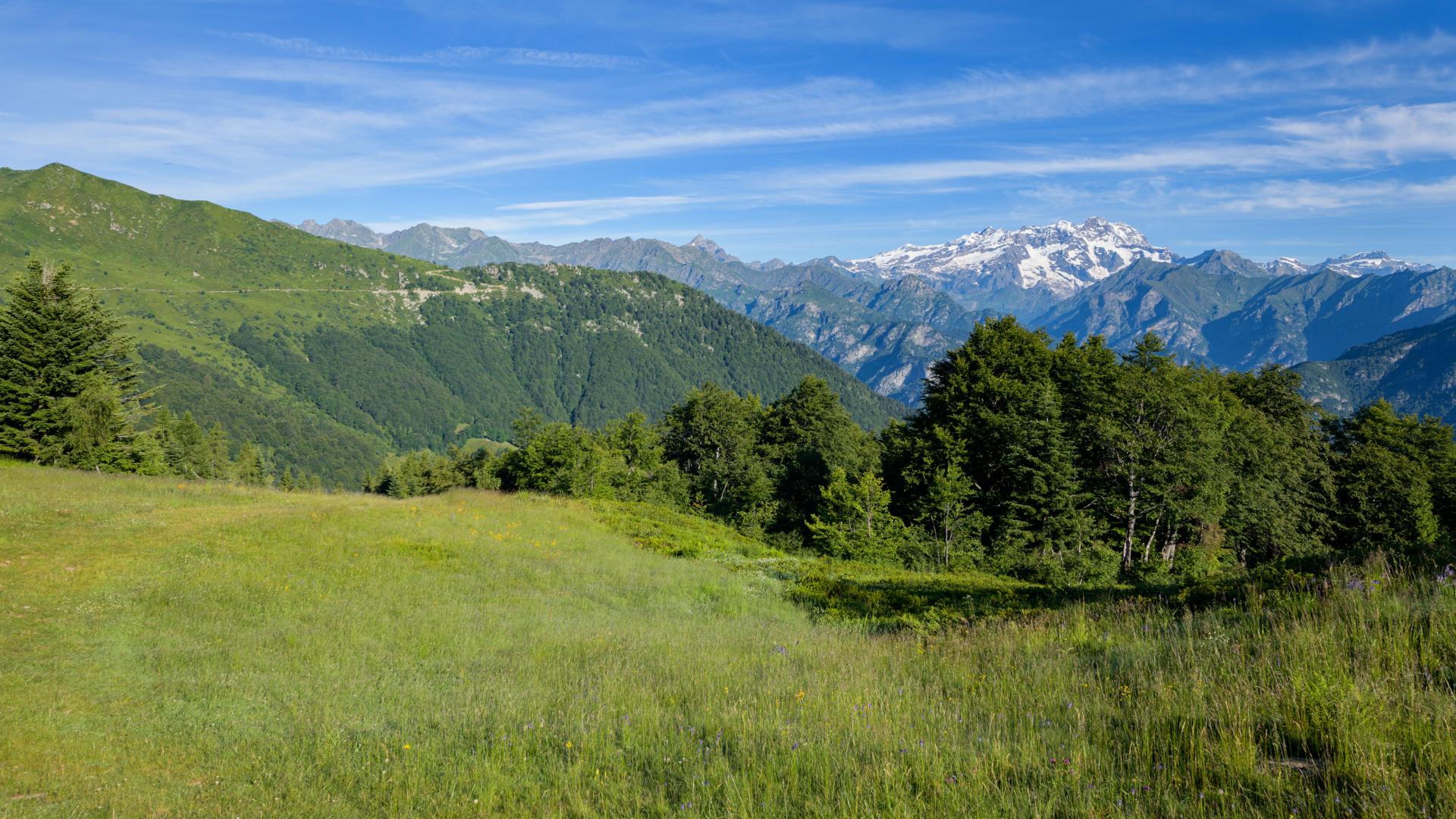 Primavera Mera