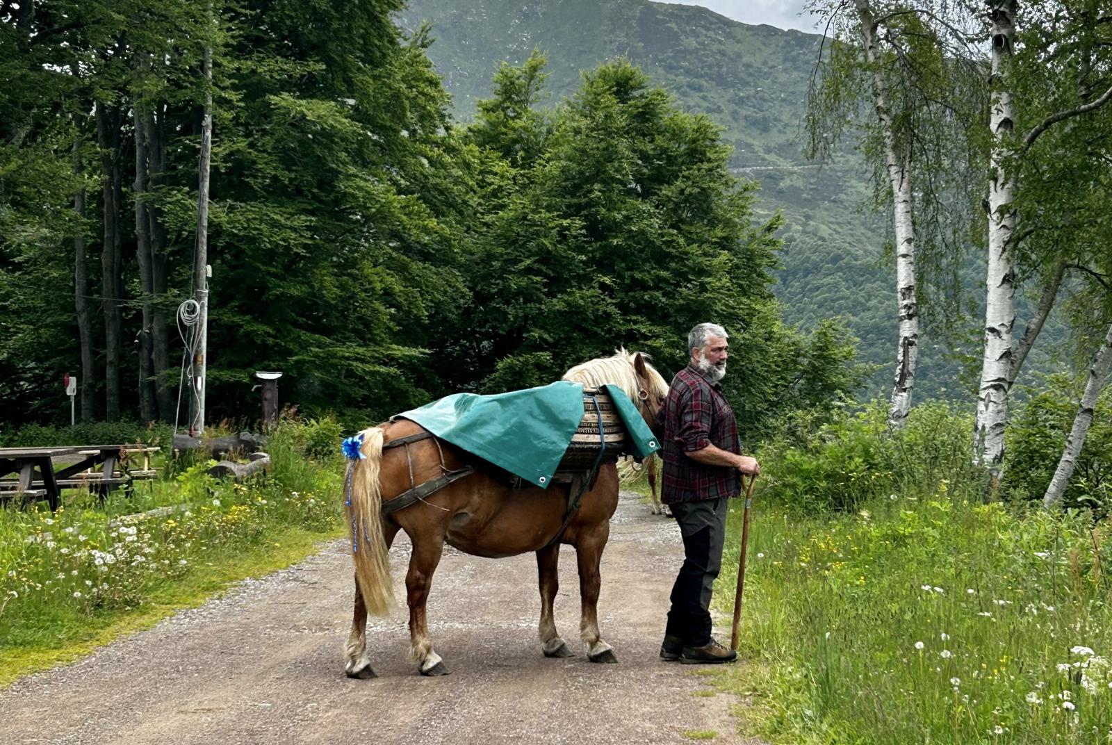 transumanza alpe di mera