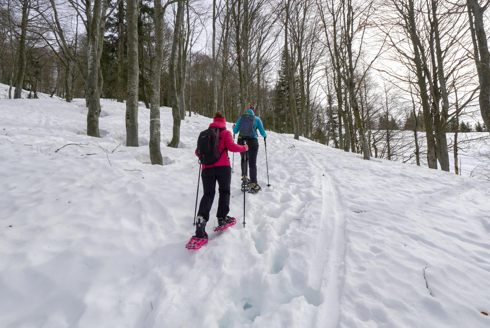 Snowshoes green path