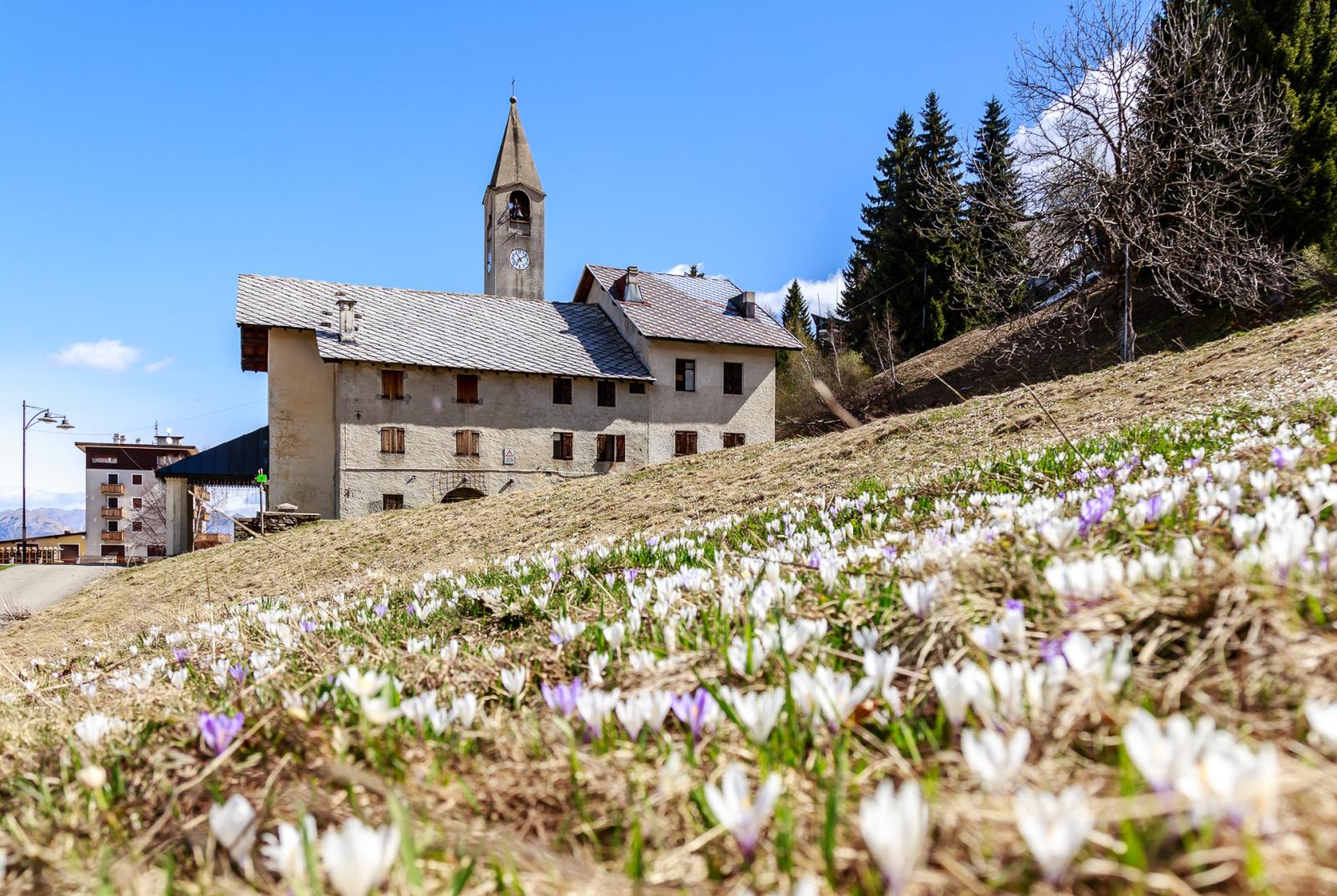 MERA IN PRIMAVERA