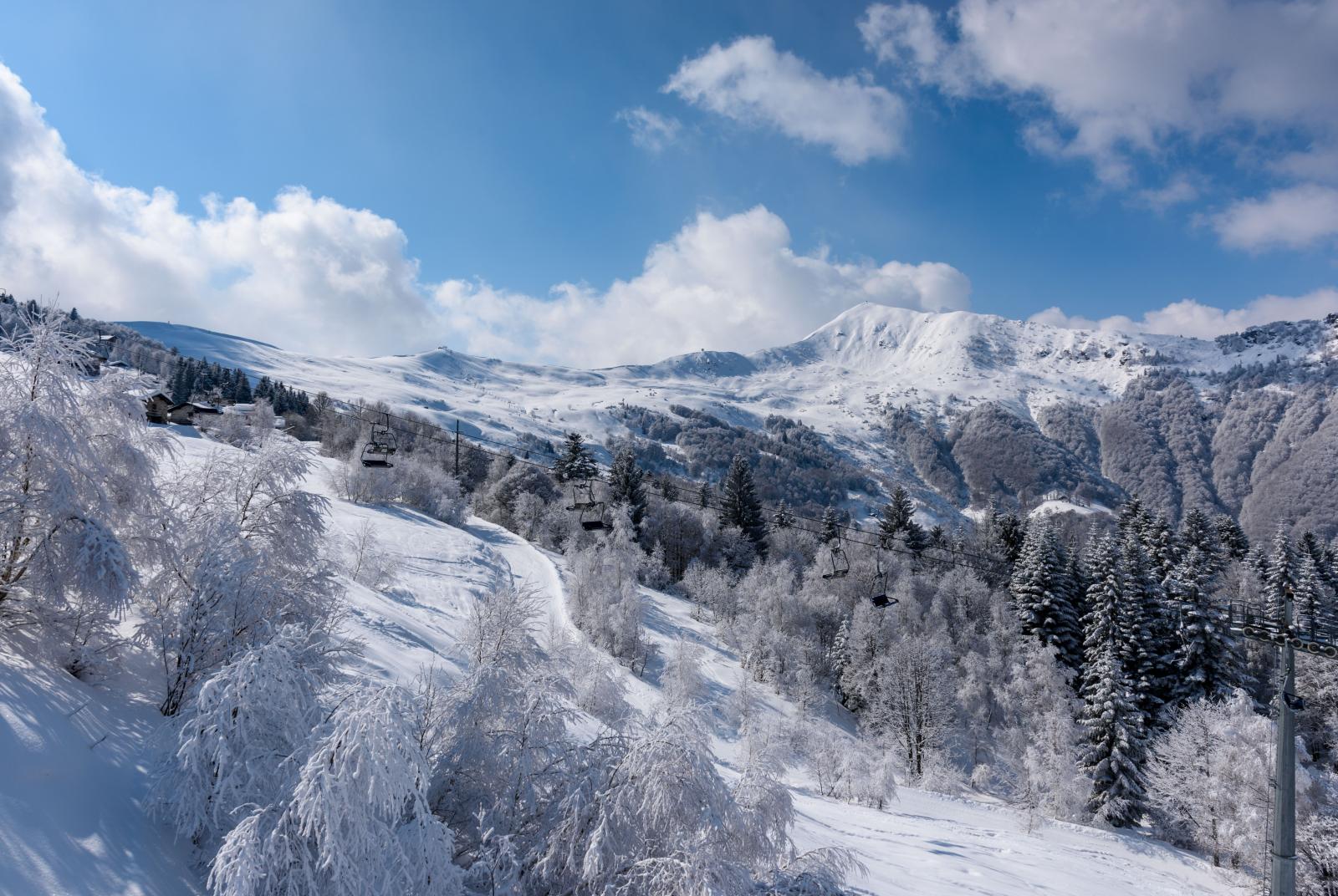 Mera panorama